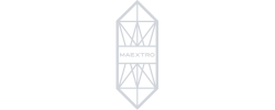 logo maextro auto china export