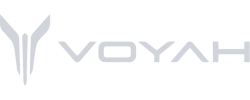 logo voyah ev fob export china